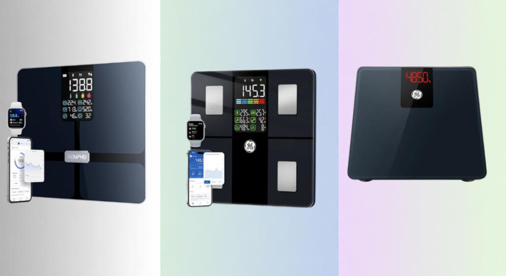Best Scales Under $50